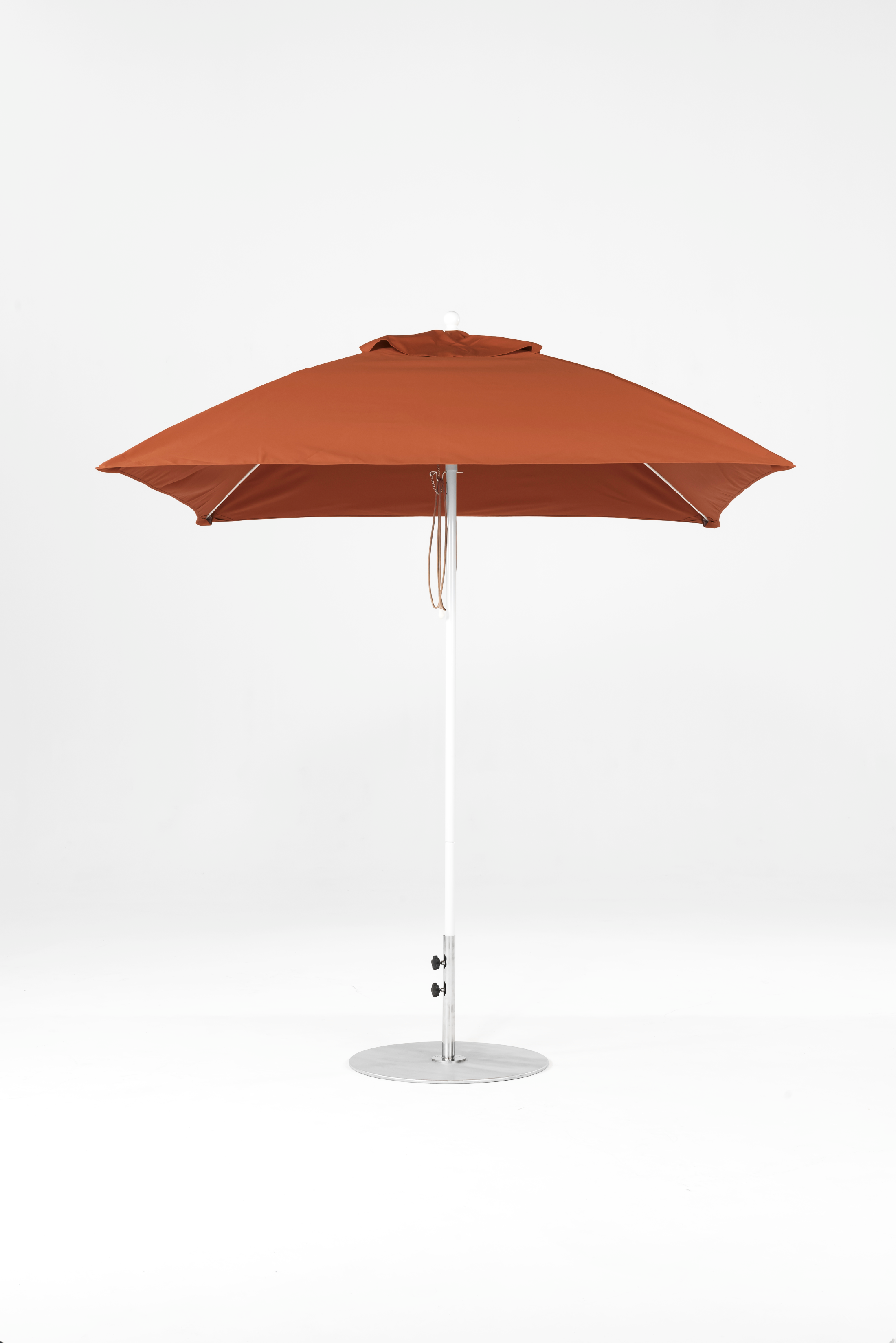 464FM-SQ-R1014 Chestnut-Alpine White