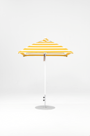 454FM-SQ-055 Yellow Stripe-Alpine White