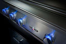 Delta Heat 32 Inch Built-in Grill