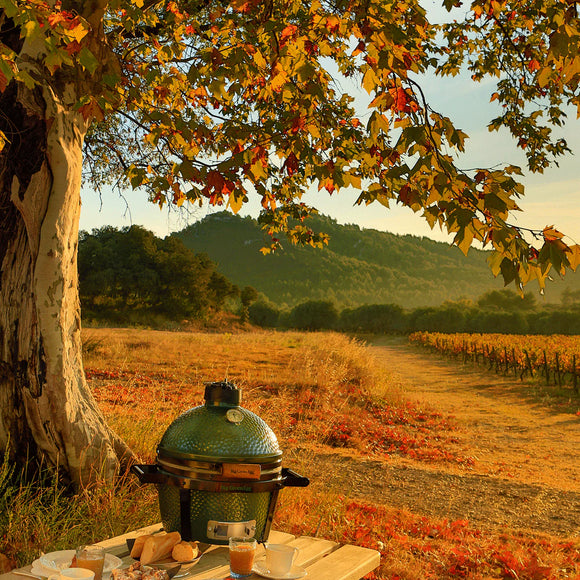 Outdoor setting with a grill and coffee on a wooden table under a tree with autumn leaves, vineyard in the background.