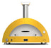 Alfa Moderno Wood-Fired Countertop Pizza Oven – Fits 2 Pizzas