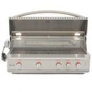 Blaze Professional 4-Burner Grill With Rear Burner