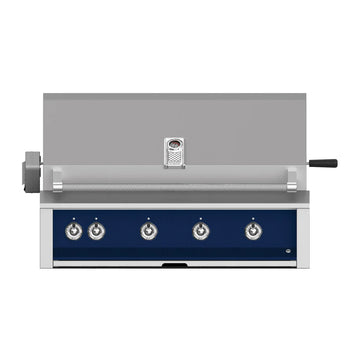 Aspire by Hestan 42-Inch Built-In Gas BBQ Grill With Rotisserie And U-Burner