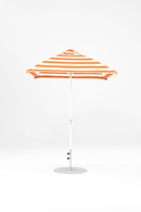 454FMC-SQ-005 Orange Stripe-Alpine White