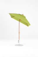 454FMA-SQ-R160 Pistachio-Golden Oak