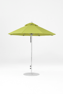 845FM-R160 Pistachio-Platinum
