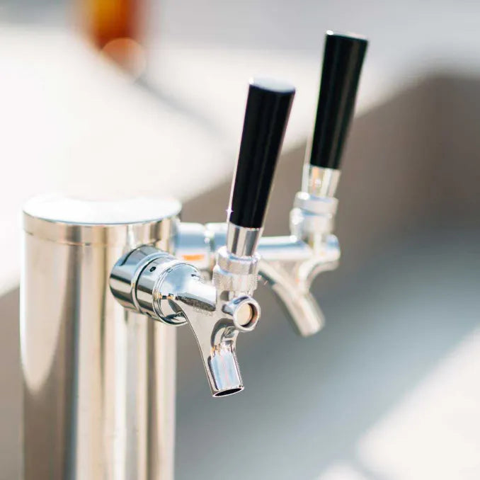 TrueFlame 24 Inch Outdoor Kegerator with Solid Door and Lock