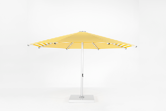 896NGU-055 Yellow Stripe
