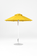 845FM-R554 Yellow-Alpine White
