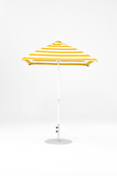 454FMC-SQ-055 Yellow Stripe-Alpine White