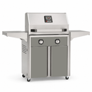 American Outdoor Grill 24-inch T-Series freestanding gas grill with lid closed, grey finish, front view on white background

