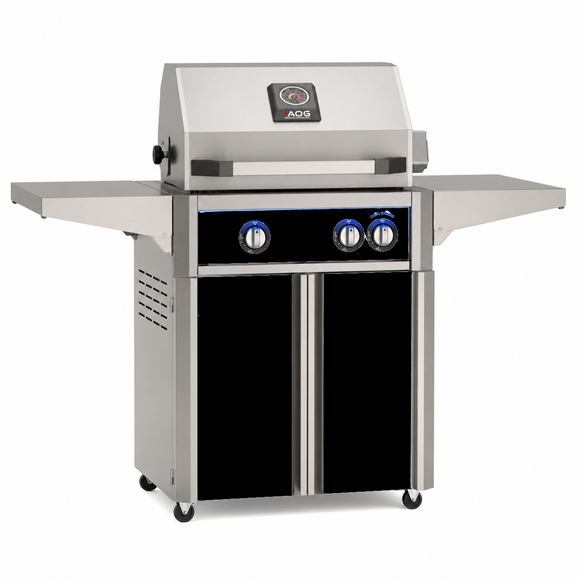 American Outdoor Grill 24-inch L-Series freestanding gas grill with lid closed,  black finish, front view on white background

