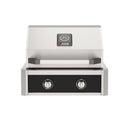  American Outdoor Grill 24-Inch T-Series Built-In Gas Grill with Black Accent Panel, Premium 2-Burner Built-In Outdoor Grill