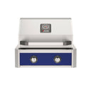  American Outdoor Grill 24-Inch T-Series Built-In Grill with Blue Accent Panel, 2-Burner Stainless Steel Outdoor Kitchen Grill
