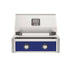  American Outdoor Grill 24-Inch T-Series Built-In Grill with Blue Accent Panel, 2-Burner Stainless Steel Outdoor Kitchen Grill