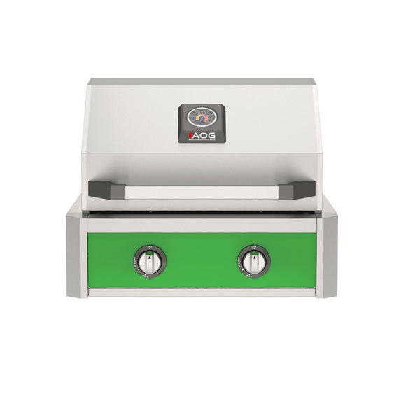 American Outdoor Grill 24-Inch T-Series Built-In Grill with Green Accent Panel, Stainless Steel 2-Burner Gas Grill