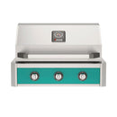 American Outdoor Grill 30-Inch T-Series Built-In Grill with Teal Accent Panel, Stainless Steel Built-In BBQ Grill