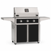American Outdoor Grill 30-inch T-Series freestanding gas grill with lid closed, black finish, front view on white background
