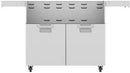 Aspire 42 Inch Double Door Cart