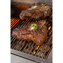 51 Inch Big Sur Gourmet Stainless Steel Grill Head with Infrared Rotisserie Burner