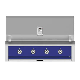 Aspire by Hestan 42-Inch Built-In Gas BBQ Grill With Sear And U-Burner