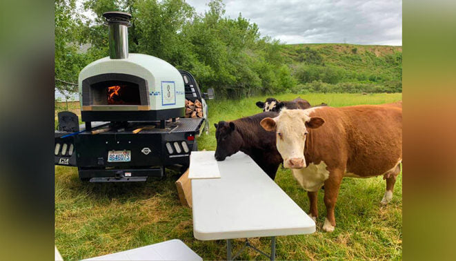 Forno Bravo Roma Commercial Pizza Oven